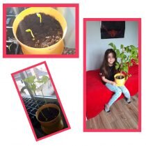 PicsArt_05-19-09.39.00