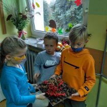 IMG_20201013_101727_HDR