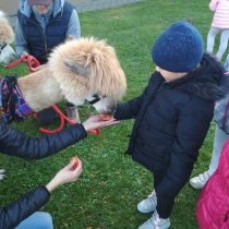 IMG_20201026_122231