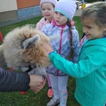 IMG_20201026_122357