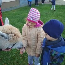 IMG_20201026_122534