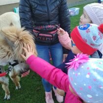 IMG_20201026_122624