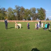 IMG_20201026_122811