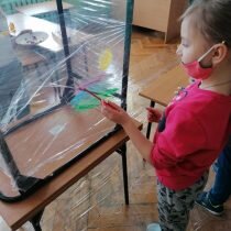 IMG_20210202_124027