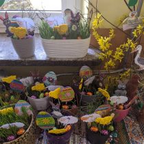 IMG_20220413_111312
