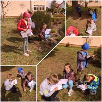 Picsart_22-04-07_17-03-07-991