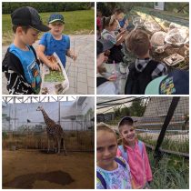 Picsart_22-06-01_22-20-52-987