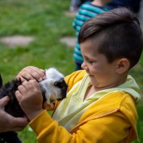 IMG_4805