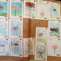IMG_20221129_172027