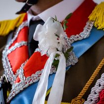 IMG_5316motyleoko